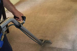 We specialize in carpet cleaning, upholstery cleaning, and tile and grout cleaning.